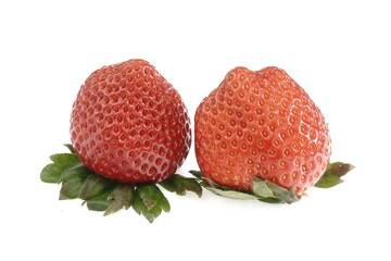 おいしいイチゴ あまりん　埼玉県産ブランド苺