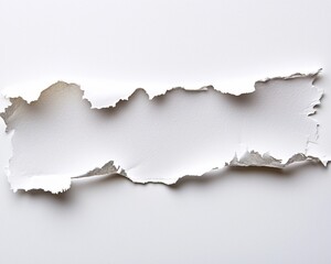 Torn white paper with space for text.