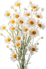 Fototapeta premium White and Yellow Flower Vase