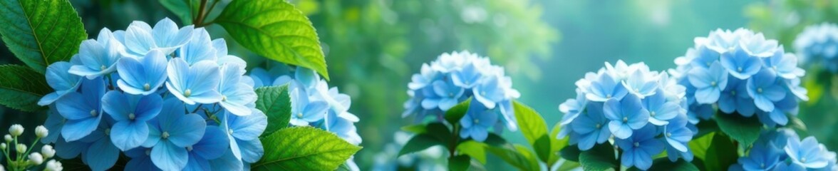 Fototapeta premium whimsical pale blue hydrangeas amidst lush greenery and subtle white accents, nature, whimsical