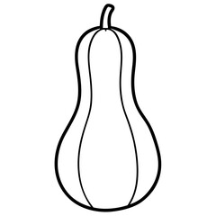  butternut squash line art vector illustration 