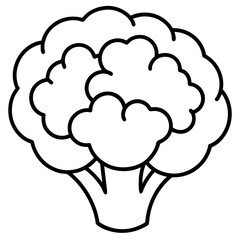 cauliflower line art vector illustration 