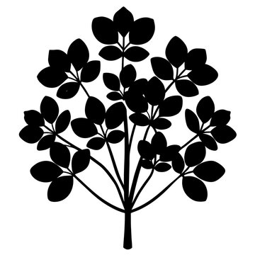 fenugreek greens meshi silhouette vector illustration 