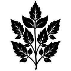 sorrel silhouette vector illustration 