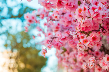A beautiful pink tree with pink flowers