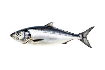 Fototapeta premium Fresh sardine fish with detailed scales and fins isolated on white transparent background, symbolizing canned seafood