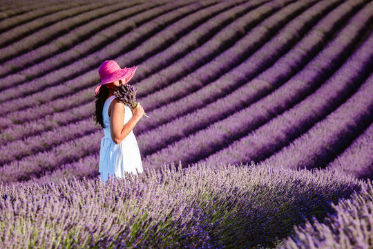 Woman in a lavender field in full bloom, Provence, France