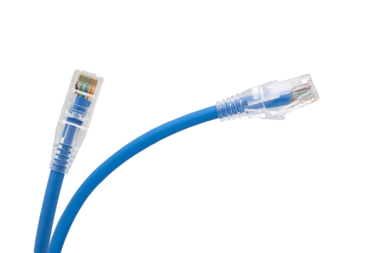 Blue network cables with molded RJ45 plug on transparent background (PNG File)