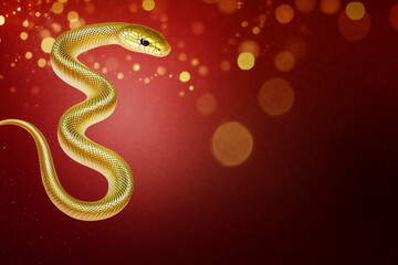Fototapeta premium Golden snake on a red background, Chinese New Year concept