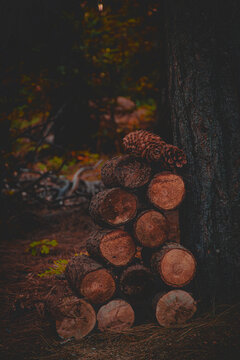 vintage logs