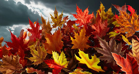 Bright autumn maple leaves, orange and yellow, float on the water and glow in the fall sun