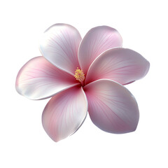 Fototapeta premium Delicate Pink Plumeria Blossom: A Study in Floral Elegance