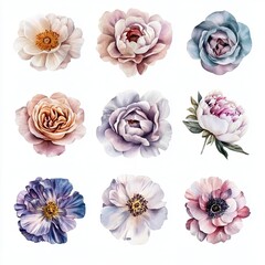 Colorful Floral Arrangement of Nine Individual Flowers with Varieties