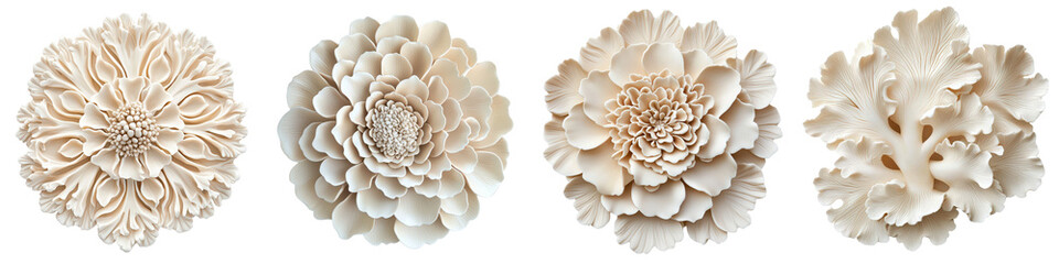 A beautiful and serene composition of elegant floral blooms in warm ivory and beige tones creating a minimalist and refined botanical display