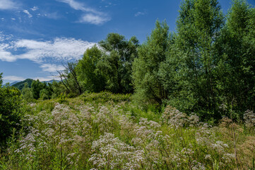 Obraz premium Posta Fibreno lake nature reserve, Frosinone, Italy