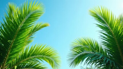 Fototapeta premium Vibrant Green Palm Fronds Reaching for a Clear Azure Sky, a Tropical Paradise Scene Perfect for Summer Designs