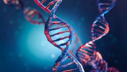 Each base pair represents a unique identity.  