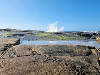 Rock platform at Susan Gilmore Beach Newcastle, New South Wales, Australia. At low tide with waves crashing against the rock