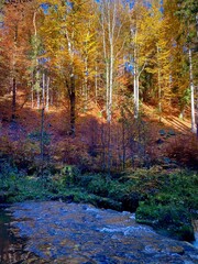 Autumn Days in Austria