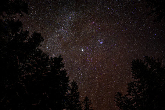 Dark sky full of stars over the forest. Bieszczady Mountains, Carpathians, Poland.