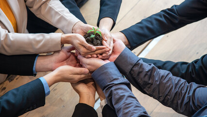 Hands adult business Team Work partnership harmony Cupping young Plant and seeding Nurture grow Environmental and reduce global warming help earth, top view.  Ecology agriculture Concept