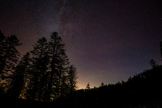 Dark sky full of stars over the forest. Bieszczady Mountains, Carpathians, Poland.