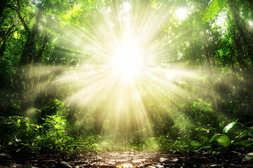 Obraz premium Sunbeams illuminate a lush green forest path beautifully and serenely in the morning.