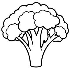 Elegant Broccoli Line Drawing for Vector Art