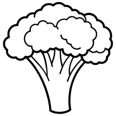 Elegant Broccoli Line Drawing for Vector Art