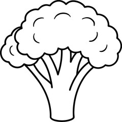 Elegant Broccoli Line Drawing for Vector Art