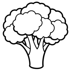 Elegant Broccoli Line Drawing for Vector Art