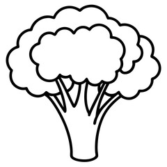 Elegant Broccoli Line Drawing for Vector Art