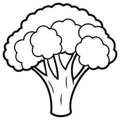 Elegant Broccoli Line Drawing for Vector Art