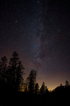 Dark sky full of stars over the forest. Bieszczady Mountains, Carpathians, Poland.