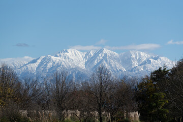 Fototapeta premium Forest and snow-capped peaks in fall, Japan, Asia