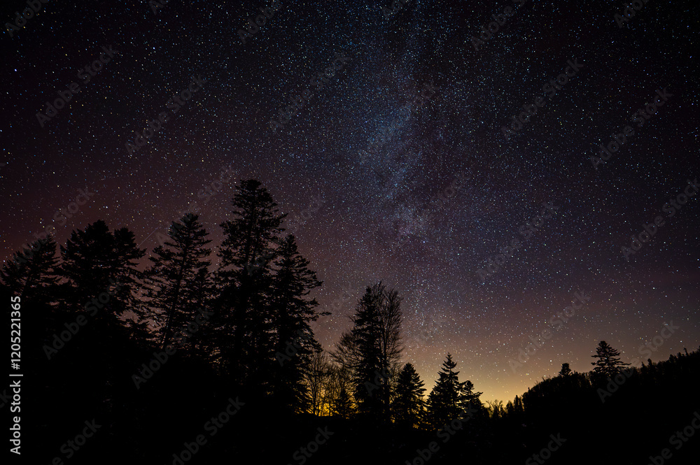 Wall mural dark sky full of stars over the forest. bieszczady mountains, carpathians, poland.