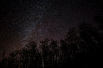 Dark sky full of stars over the forest. Bieszczady Mountains, Carpathians, Poland.
