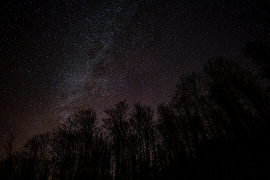 Dark sky full of stars over the forest. Bieszczady Mountains, Carpathians, Poland.