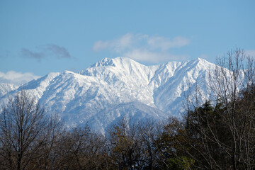 Fototapeta premium Forest and snow-capped peaks in fall, Japan, Asia