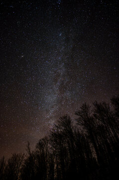 Dark sky full of stars over the forest. Bieszczady Mountains, Carpathians, Poland.