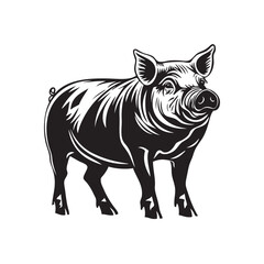 Fototapeta premium illustration of pig