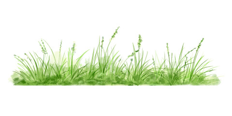 Fototapeta premium Green grass and lush bushes Watercolor digital illustration. . Spring greenery and nature landscape isolated on white background. Grass thickets and small flowers