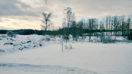 Winter landscape - frosty trees in winter forest in cold weather. Calm winter forest nature under snowfall in cloudy day

