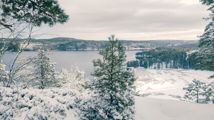 a winter landscape where a beautiful lake stretches across the scene. The center of the lake is still open water, reflecting the gray winter sky and the snow-covered trees that line its edges. On one 