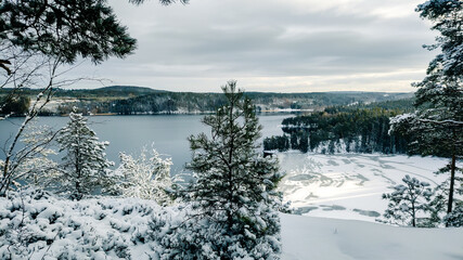 a winter landscape where a beautiful lake stretches across the scene. The center of the lake is still open water, reflecting the gray winter sky and the snow-covered trees that line its edges. On one 