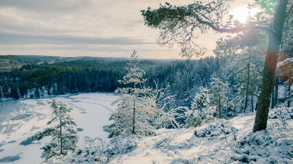 a winter landscape where a beautiful lake stretches across the scene. The center of the lake is still open water, reflecting the gray winter sky and the snow-covered trees that line its edges. On one 