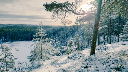 a winter landscape where a beautiful lake stretches across the scene. The center of the lake is still open water, reflecting the gray winter sky and the snow-covered trees that line its edges. On one 