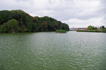 宝来山古墳の見える光景