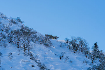 青空と雪山