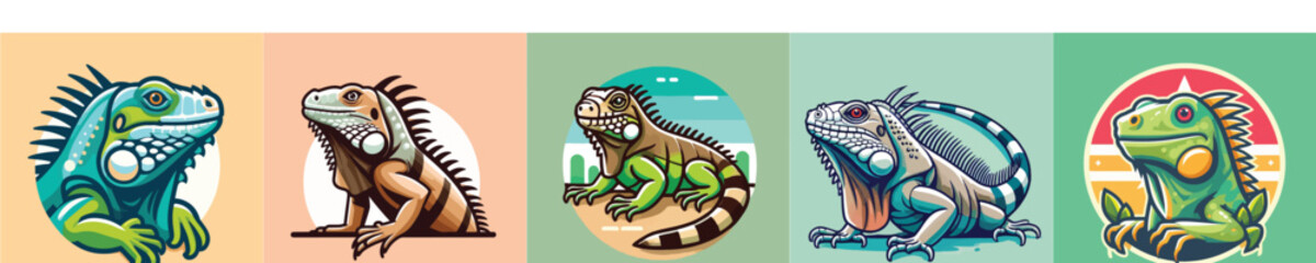 Iguana vector collection